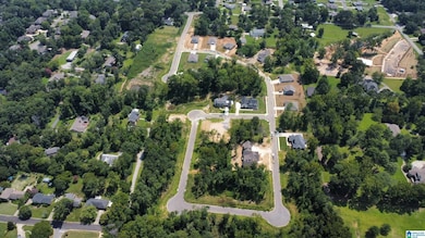 3373 Chandler Way, Hoover, AL 35226 - photo 3