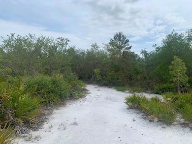 0 Holopaw Groves Rd unit F10536907, Saint Cloud, FL 34772 - photo 3