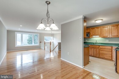 11001 Howland Dr, Reston, VA 20191 - photo 5