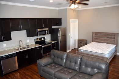 ch 206 (furnished studio) Common space (