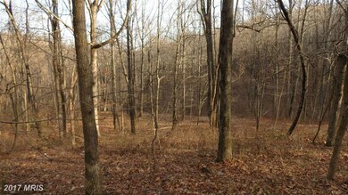 0 Piedmont unit 1002535310, Washington, VA 22747 - photo 4