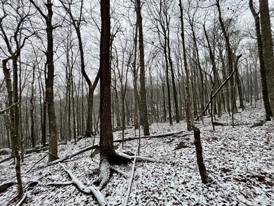 0 Sheep Bluff Rd unit RTC2480679, Cookeville, TN 38506 - photo 6