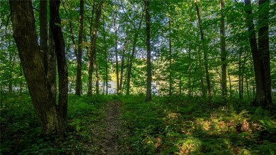 N2023 E River Run Rd, Bruce, WI 54819 - photo 5