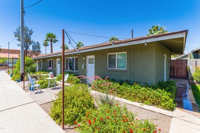 Palm_Lane_06