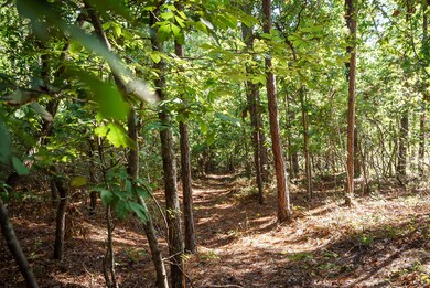 Natural Trails