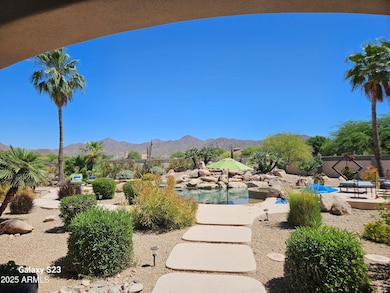 Back yard