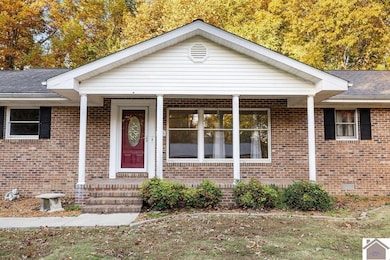 319 Crystal Lake Rd, Wickliffe, KY 42087 - photo 3