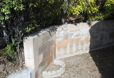 back yard area