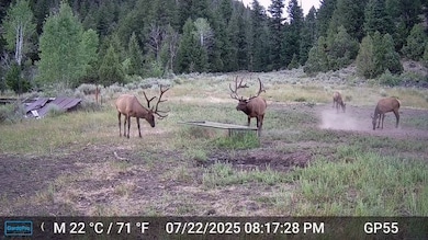 0 Tbd Atchee Ridge Rd, Rangely, CO 81648 - photo 2