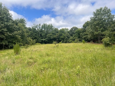 Rd, Watson, OK 74957 - photo 5