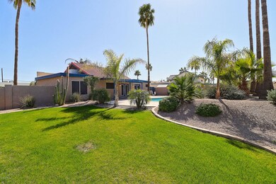 Grassy area in yard