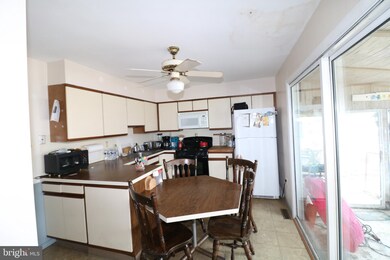 137 E Raritan Dr, Little Egg Harbor Township, NJ 08087 - photo 4