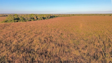 0 County Road 212, Angleton, TX 77515 - photo 7