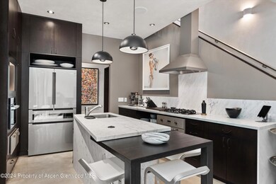 1180 Dale Ave unit 2, Aspen, CO 81611 - photo 3