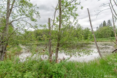 1453 Highway 603, Chehalis, WA 98532 - photo 5