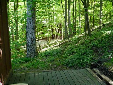 Yard/Garden