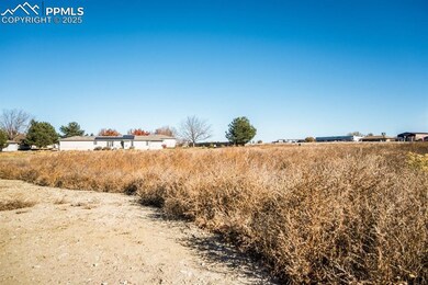 231 W Palmer Lake Dr, Pueblo West, CO 81007 - photo 7