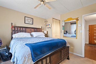 9701 N Dee Rd unit 5E, Niles, IL 60714 - photo 7