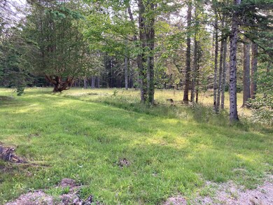 From front to side yard.