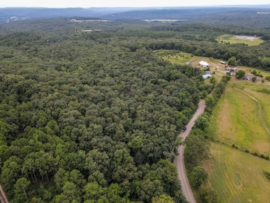 000 Merryman Rd, Formosa Township, AR 72031 - photo 3