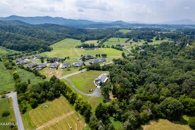 Drone View