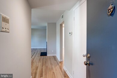 2244 Washington Ave unit 301, Silver Spring, MD 20910 - photo 3