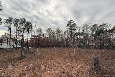 16 Sophia Ct, West Hampton, NY 11977 - photo 7