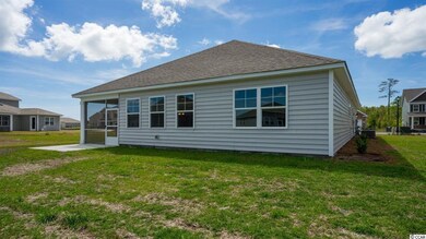 3099 Gillham Loop unit Lot 71- Darby C, Myrtle Beach, SC 29588 - photo 2