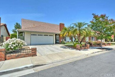Lovely palm trees to welcome you home.