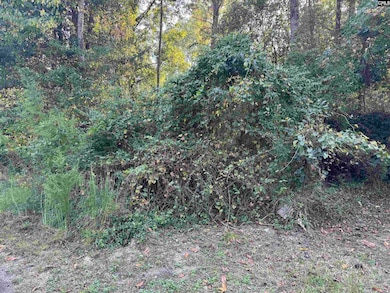 000 Quattlebaum Ave, Ridge Spring, SC 29129 - photo 5