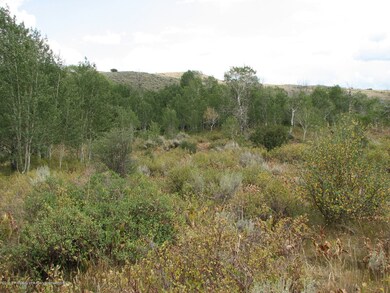 Lot 840 (3)