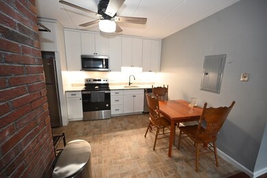 47 Homer Ave unit 1-2, Cambridge, MA 02138 - photo 6
