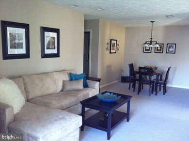 11973 Cardamom Dr unit 11973, Woodbridge, VA 22192 - photo 3