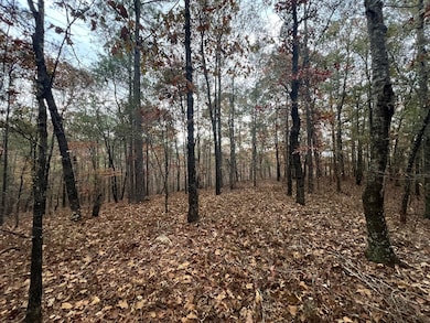 0 Depot, Jacksons Gap, AL 36861 - photo 6