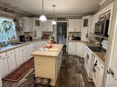 9870 Three Oaks Ln, Bloomsdale, MO 63627 - photo 4