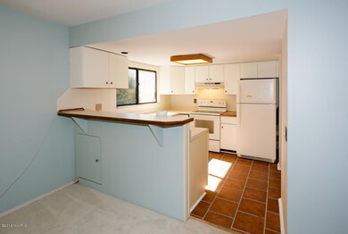 146 Carberry Hill Ct unit 50, Kalamazoo, MI 49006 - photo 5