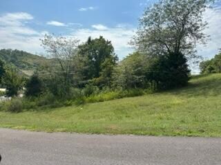 Lot 30 Roark Branch Rd, Branson West, MO 65737 - photo 4