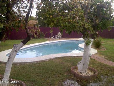 Backyard - Pool