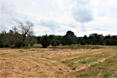 14.35 Acres + - Cr 766, Jonesboro, AR 72405 - photo 2