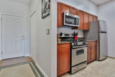 Spicket Commons unit 313, Methuen, MA 01844 - photo 3