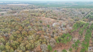 303 County Road 4268, Simms, TX 75574 - photo 6