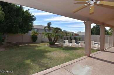 Kim back yard & pool