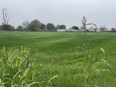 209 E Clausen Rd, Turlock, CA 95380 - photo 2