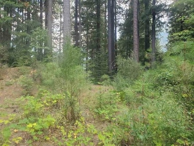 00 Timber Dr, Dunsmuir, CA 96025 - photo 4