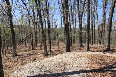 16331SkinnerHockingHills