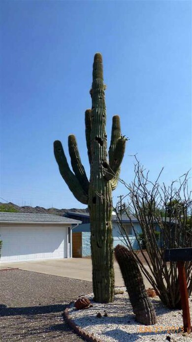 SAGUARO