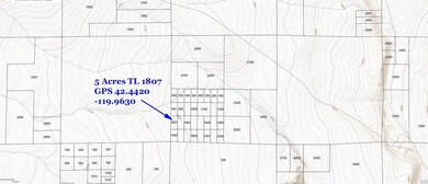 Topo 16633