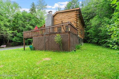 87 Ski Bowl Rd, Hunter, NY 12442 - photo 5