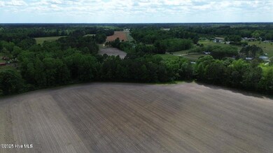 2045 Dolph Lewis Rd, Cerro Gordo, NC 28430 - photo 7