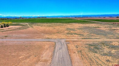 Lot 2 Chantelle Ln, Delta, CO 81416 - photo 7